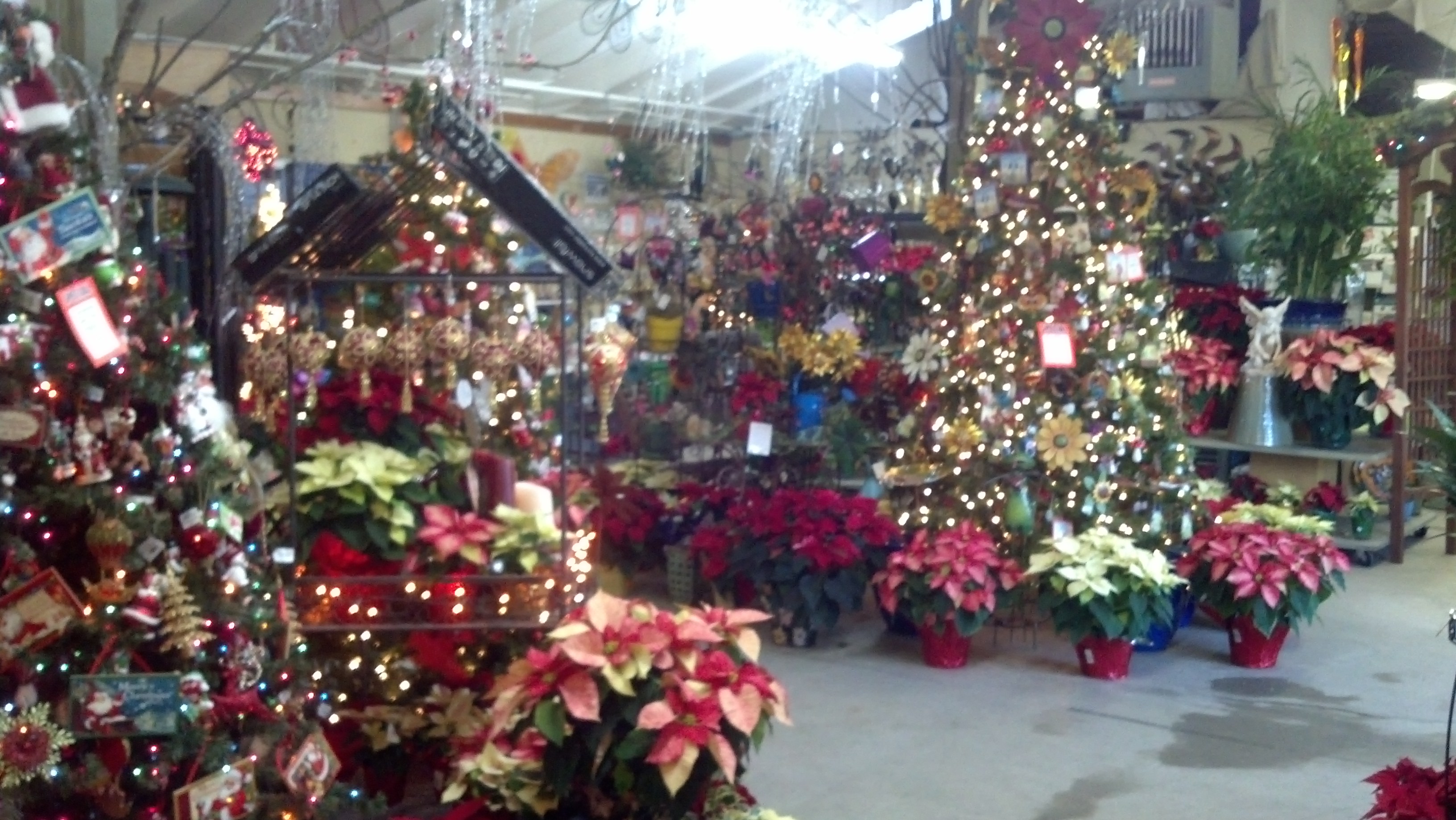 western garden nursery carries a great selection of garden gifts and 