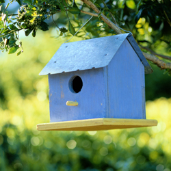 March & April Gardener’s Calendar