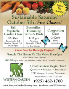click this photo for more information
