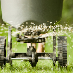 photo of fertilizer