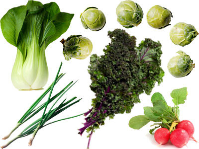 Fall Vegetable Garden Class, Sunday, September 8