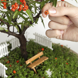 Fairy Garden Magic
