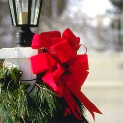 Bow on Lamp Post