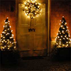Entryway with Trees