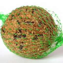 bulb in pouch