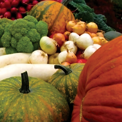 Winter Vegetables on the Table