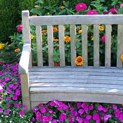 Bench