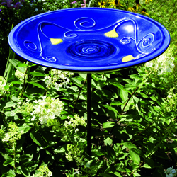 Bird Bath