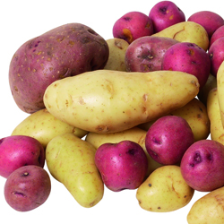 Potatoes Closeup