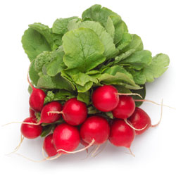 Radish