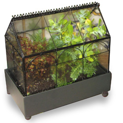 Terrarium