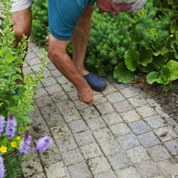 Pre-emergent Weed Control