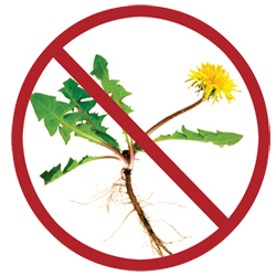 Weeds Be-Gone