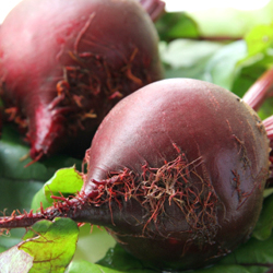 Beets