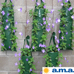 Growing in Flower Pouches