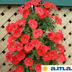 flower pouch with red petals