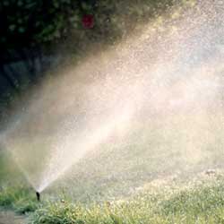 sprinklers watering lawn