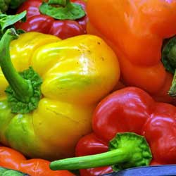 close up of multicolor bell peppers