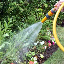 watering yard