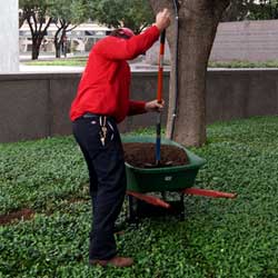 man working in yard