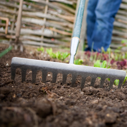 Raking soil