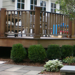 Hedges by patio outdoors