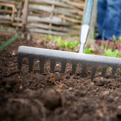 raking soil