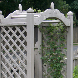 simple vine under awning