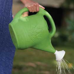 man pouring watering can