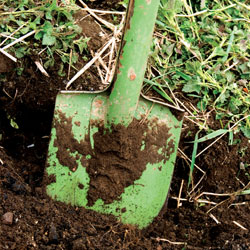 green shovel