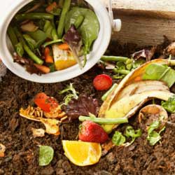 natural compost
