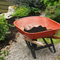 compost in wheel barrel