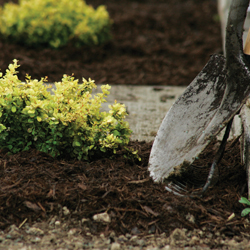 composting with shovel