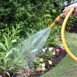 Wise Watering