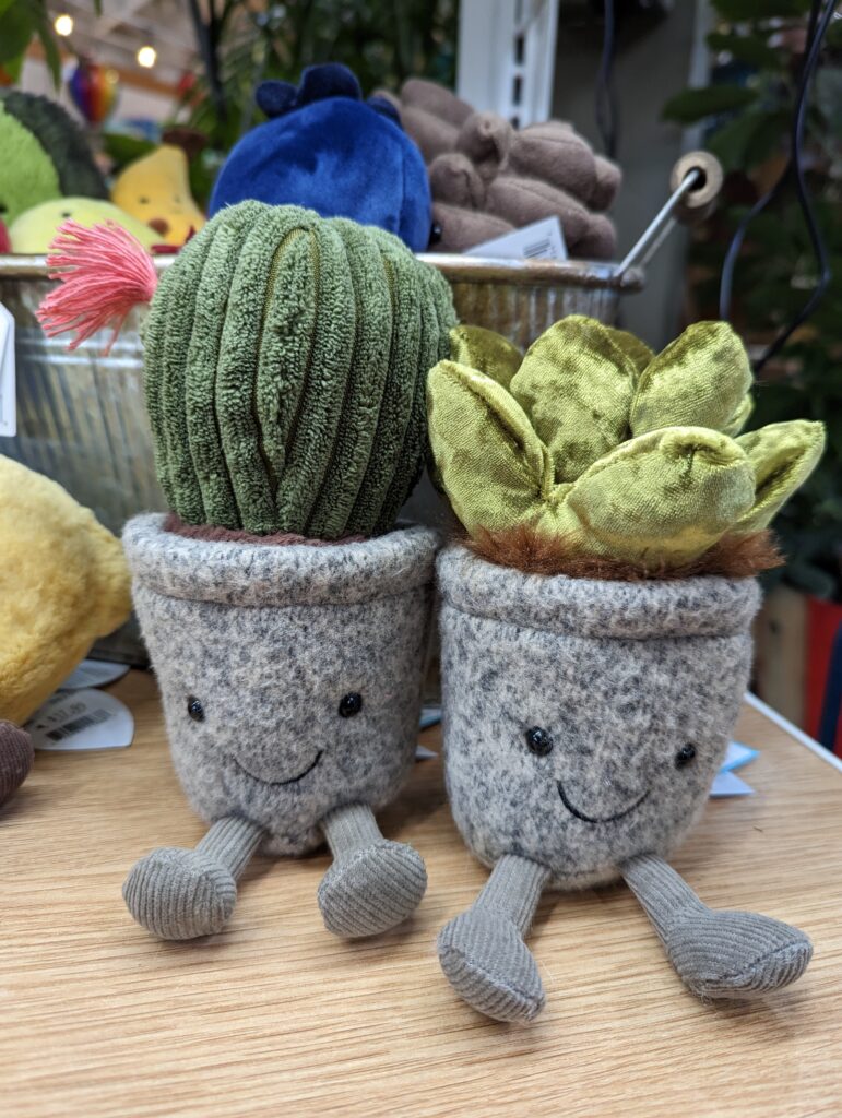 Succulent Stuffies