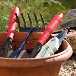 Preparing Your Landscape for Winter