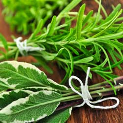 Kitchen Herb